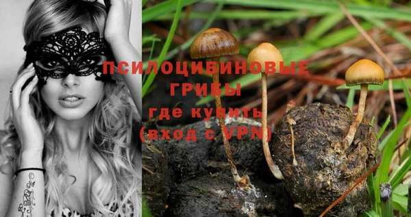 индика Горно-Алтайск