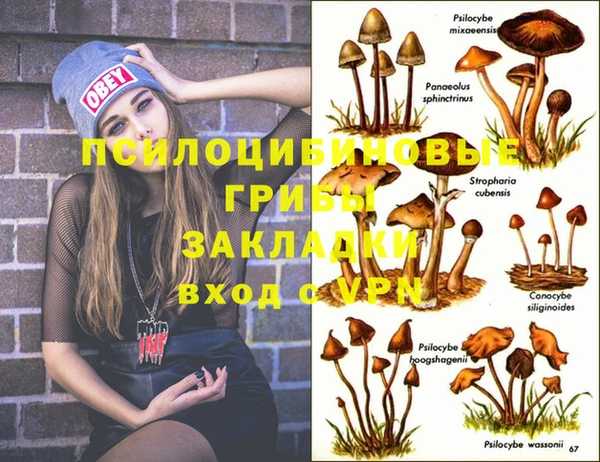 индика Горно-Алтайск