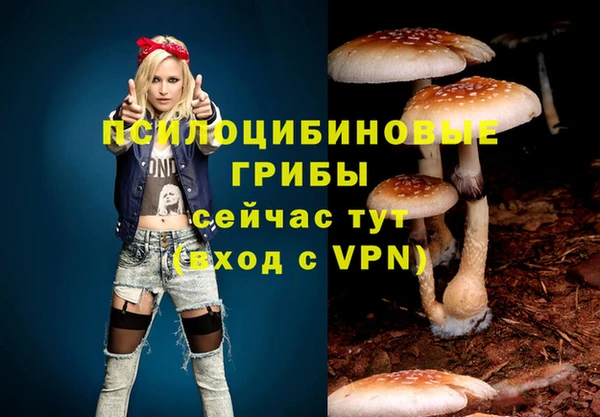 кристаллы Горняк