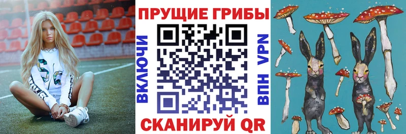 Псилоцибиновые грибы мицелий  как найти закладки  mega онион  Керчь 